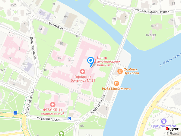 ГКБ №31 в Санкт-Петербурге на карте
