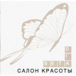 логотип компании Di Seta