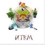 логотип компании Институт традиционной восточной медицины