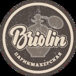 логотип компании Briolin