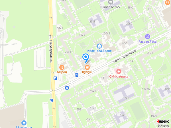 Дарья на карте