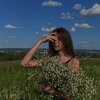 Крис Волк
