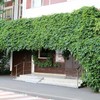 Александр Кочетков